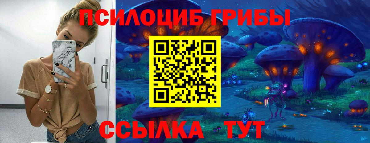 Нефтеюганск  Псилоцибиновые грибы Cubensis  Вход с VPN  Псилоцибиновые грибы Psilocybine cubensis 